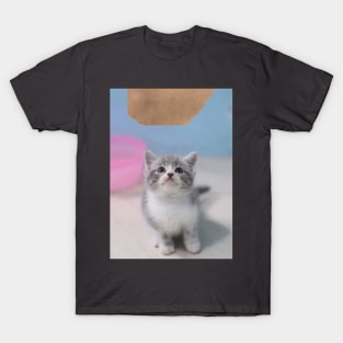 the little cute cats T-Shirt